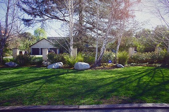 Enlarge photo 112