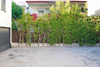 Enlarge photo 101