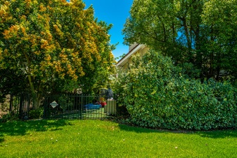 Enlarge photo 53