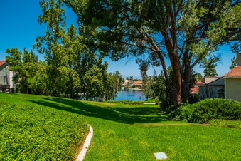 Enlarge photo 54