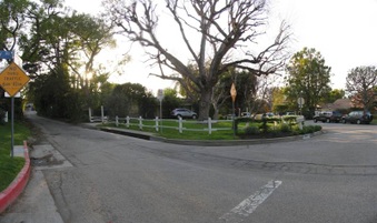CAST 8175 SHERMAN OAKS