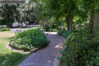 Enlarge photo 49