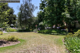 Enlarge photo 53