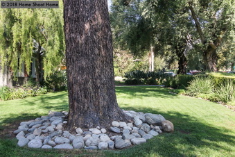 Enlarge photo 73