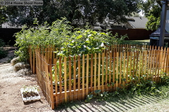 Enlarge photo 33