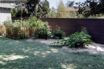 Enlarge photo 34