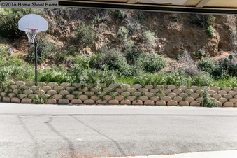Enlarge photo 74