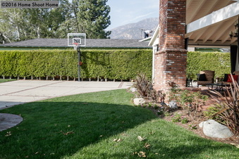 Enlarge photo 46