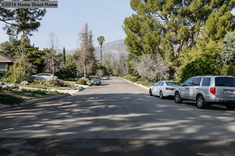 Enlarge photo 55