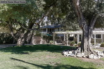 Enlarge photo 51