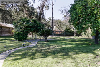 Enlarge photo 52