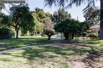 Enlarge photo 53