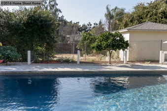 Enlarge photo 41