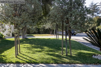 Enlarge photo 45