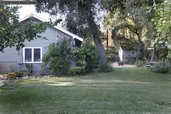 Enlarge photo 53