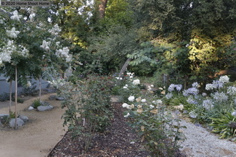 Enlarge photo 77