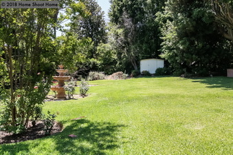 Enlarge photo 61