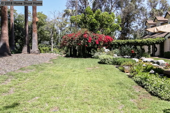 Enlarge photo 69