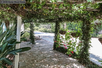 Enlarge photo 73