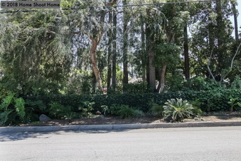 Enlarge photo 89