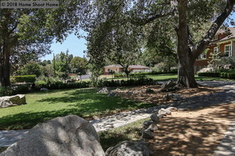 Enlarge photo 55