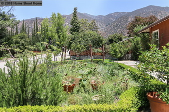 Enlarge photo 47