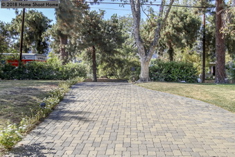 Enlarge photo 54
