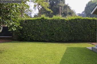 Enlarge photo 42