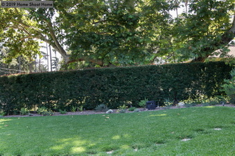 Enlarge photo 73
