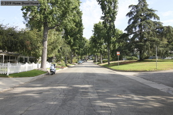 Enlarge photo 67