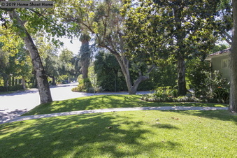 Enlarge photo 32