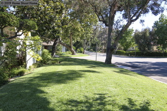 Enlarge photo 35
