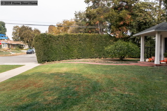 Enlarge photo 48