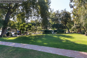 Enlarge photo 71