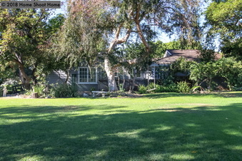 Enlarge photo 77