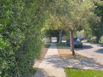 Enlarge photo 42
