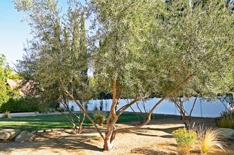 Enlarge photo 66