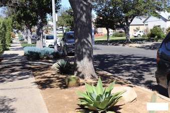 Enlarge photo 51