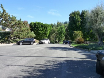 Enlarge photo 79