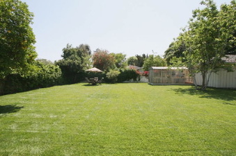 Enlarge photo 35