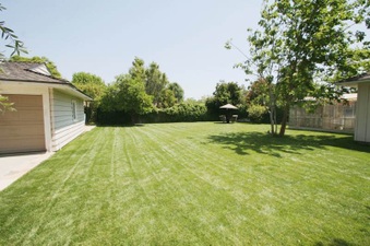 Enlarge photo 37
