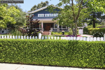 Enlarge photo 91