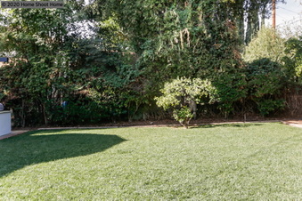 Enlarge photo 62