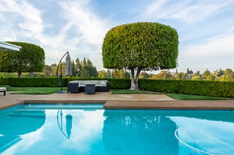 Enlarge photo 53