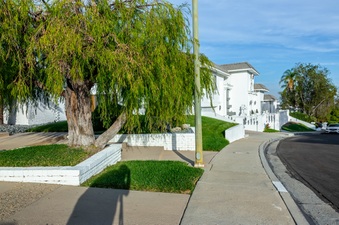 Enlarge photo 72