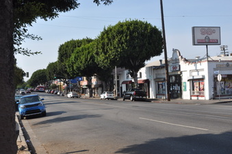 Enlarge photo 29