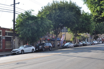 Enlarge photo 13