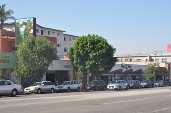 Enlarge photo 3