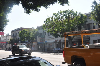 Enlarge photo 20