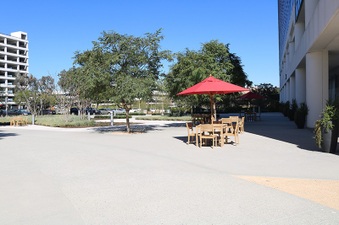 Enlarge photo 5